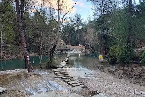Yedigöze Orman Parkı - Resim 12