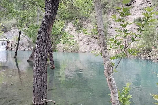 Yedigöze Orman Parkı - Resim 15