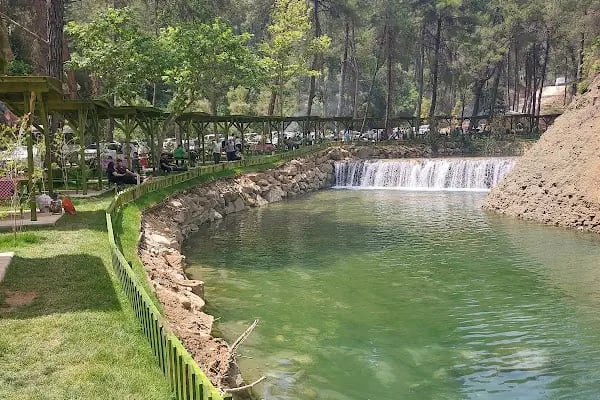 Yedigöze Orman Parkı - Resim 16