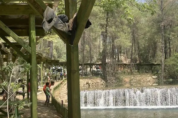 Yedigöze Orman Parkı - Resim 17