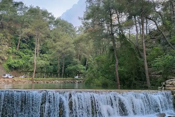 Yedigöze Orman Parkı - Resim 3