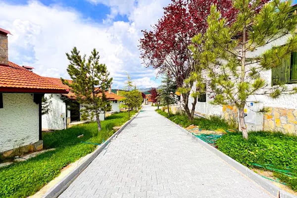 PELİT DAĞ EVLERİ - Resim 5
