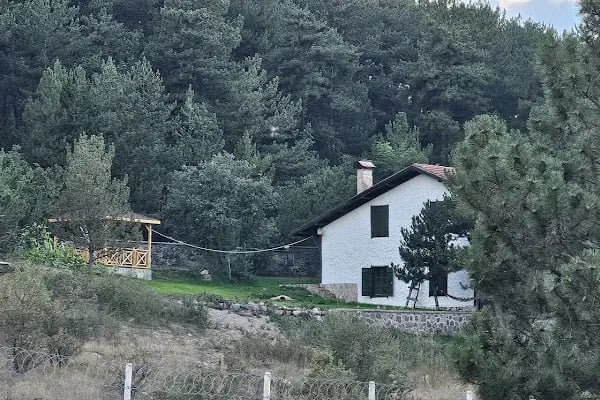 PELİT DAĞ EVLERİ - Resim 9
