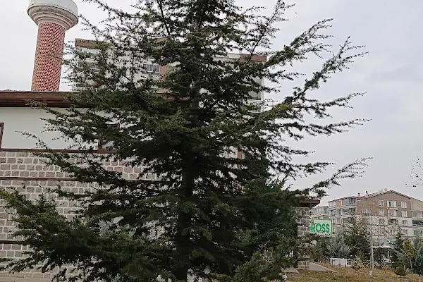 Medeniyet Camii - Resim 14