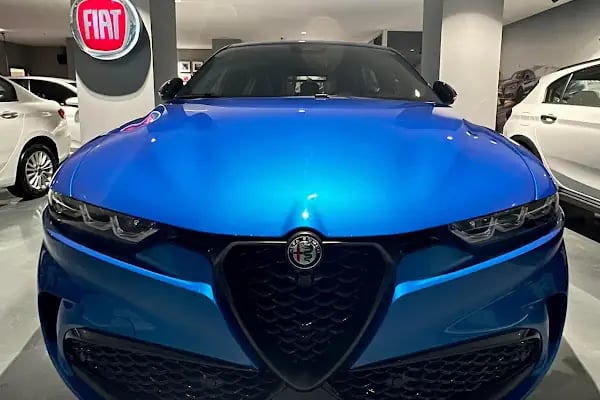 Enriko Aliberti Bergama Fiat Bayi - Resim 3