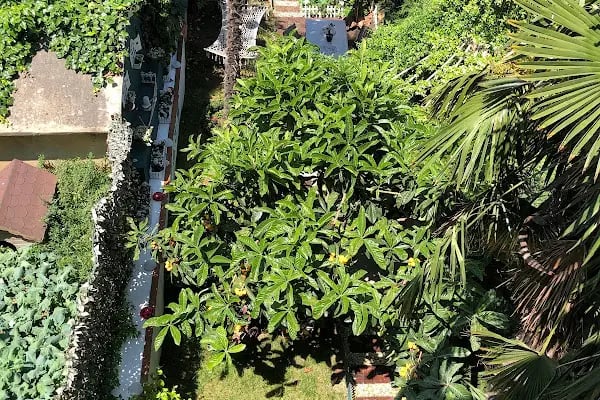 MSY KÜÇÜK EV APART (Heybeliada) - Resim 16