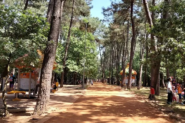 Çekmeköy Doğa Parkı - Resim 6
