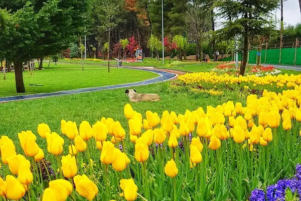 Çekmeköy Doğa Parkı - Resim 10