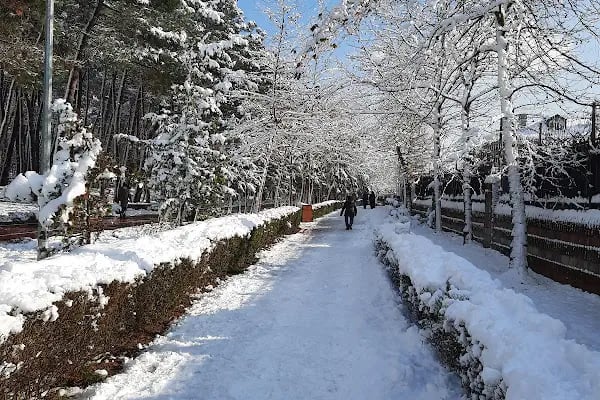 Çekmeköy Doğa Parkı - Resim 12