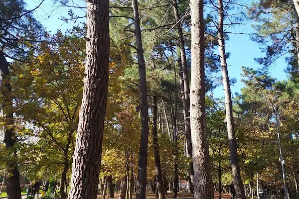 Çekmeköy Doğa Parkı - Resim 7