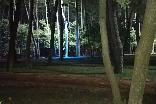 Çekmeköy Doğa Parkı - Resim 13