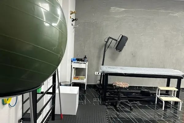 Terapiroom Fizyoterapi Ve Danışmanlık Merkezi - Resim 13