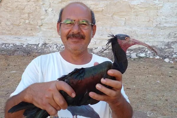 Kelaynak Kuşları Koruma Alanı - Resim 2