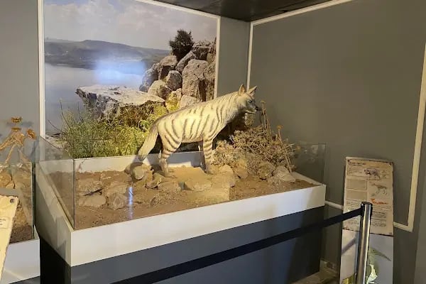 Kelaynak Kuşları Koruma Alanı - Resim 13