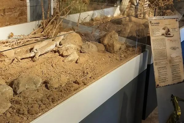 Kelaynak Kuşları Koruma Alanı - Resim 18