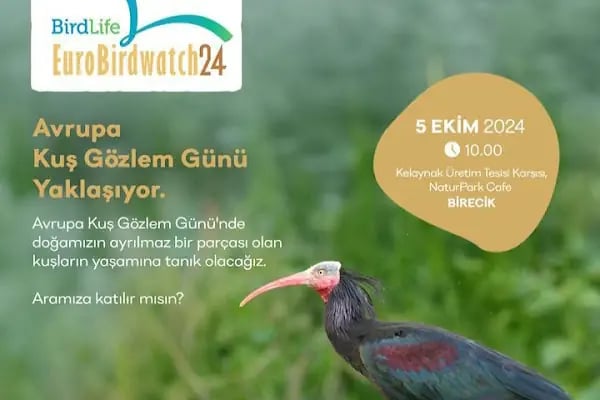 Kelaynak Kuşları Koruma Alanı - Resim 10