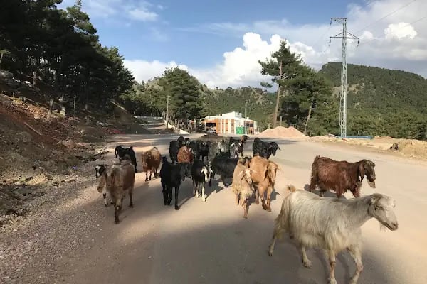 Aladağ Devlet Hastanesi - Resim 5