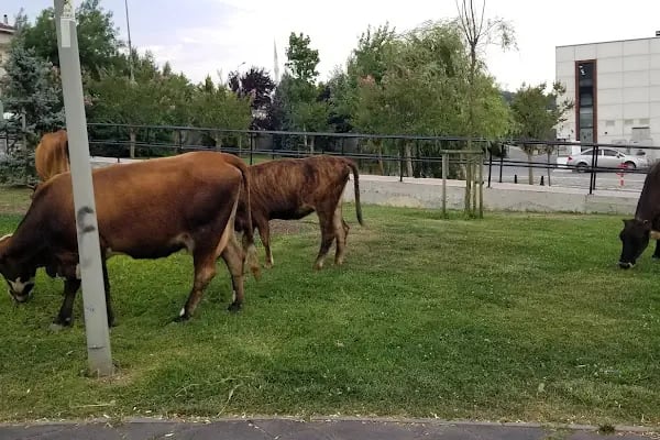 Arnavutköy Vadipark - Resim 16