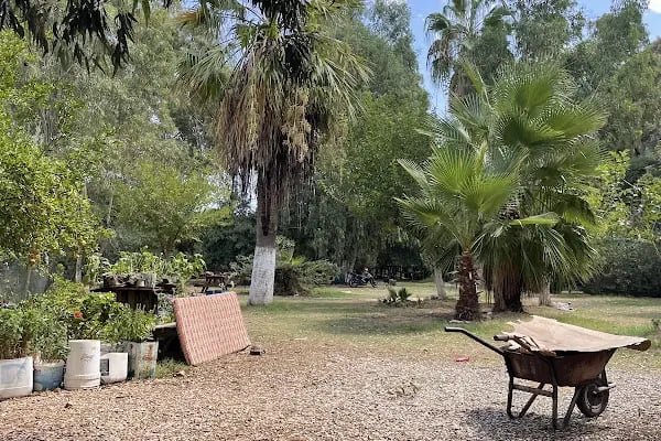 Andriake Camping Demre - Resim 10