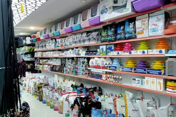 Aydın petshop 2 - Resim 4