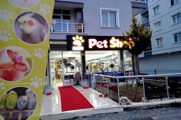 Aydın petshop 2 - Resim 3