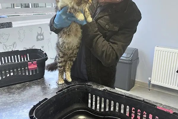 Güneştepe Veteriner Muayenehanesi - Resim 10