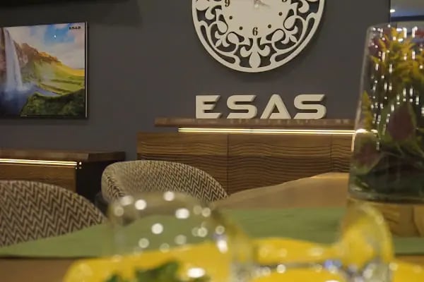 esas - Resim 1
