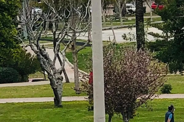 23 Nisan Ulusal Egemenlik Parkı - Resim 13