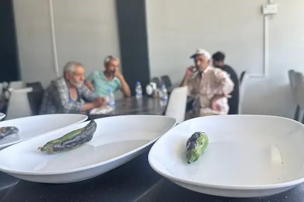 Dostlar Kebap Salonu - Resim 5
