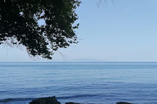 Uçmakdere Çınar - Resim 8