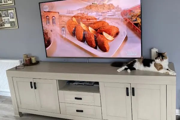 Vestel İzmir Bornova Yetkili Kurumsal Satış Mağazası - Resim 15