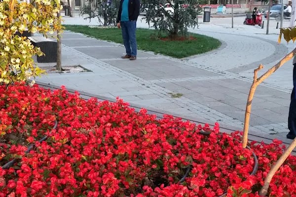 Fatih Parkı - Resim 13