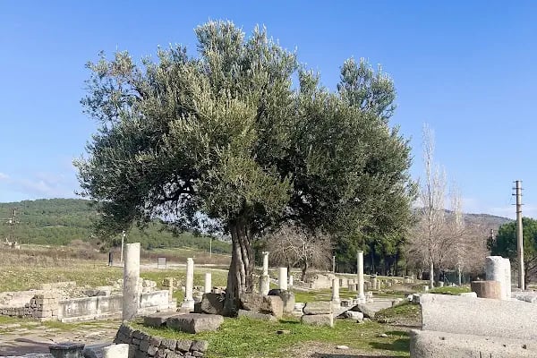 Asklepion Örenyeri (Bergama) - Resim 9