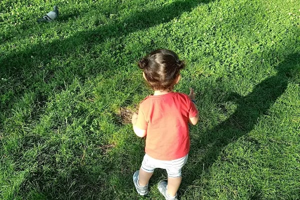 Altındağ Belediyesi Güneşevler Parkı - Resim 10
