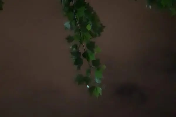 Altındağ Belediyesi Güneşevler Parkı - Resim 12