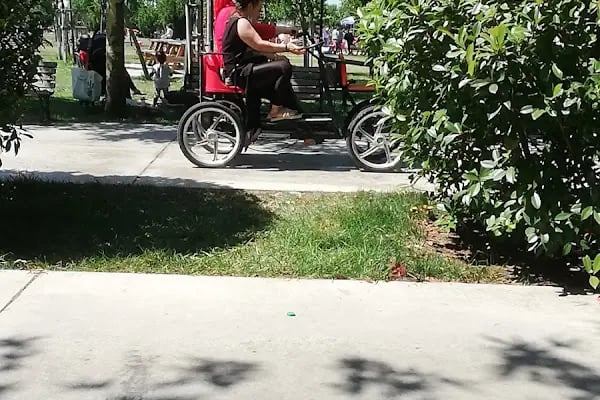 Şelale Parkı - Resim 7