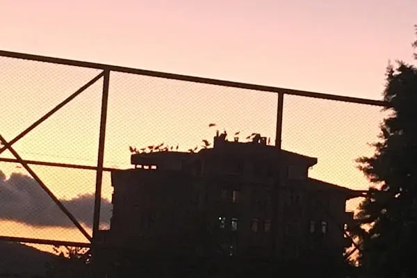 Şelale Parkı - Resim 12