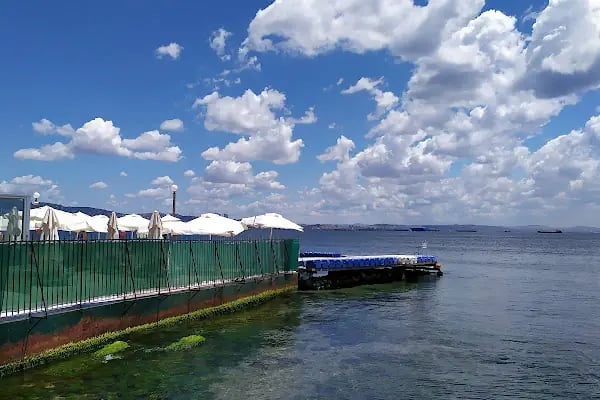 Büyükada Su Sporları Kulübü Yüzme Havuzu - Resim 20