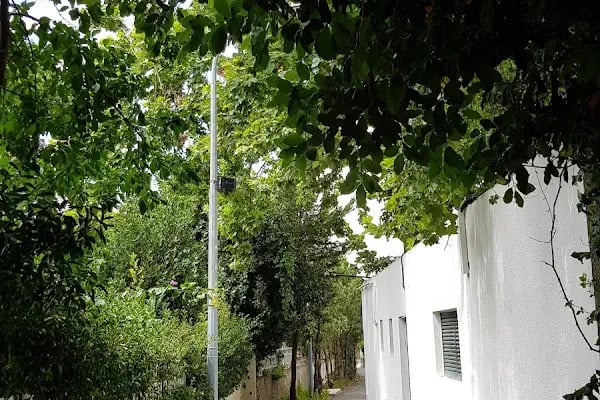 Büyükada Su Sporları Kulübü Yüzme Havuzu - Resim 9