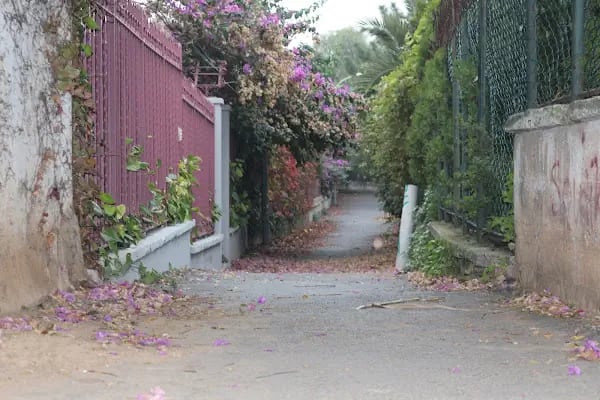 Büyükada Su Sporları Kulübü Yüzme Havuzu - Resim 16