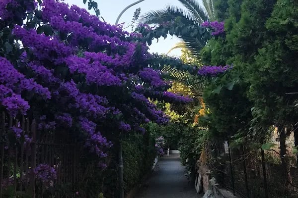 Büyükada Su Sporları Kulübü Yüzme Havuzu - Resim 7