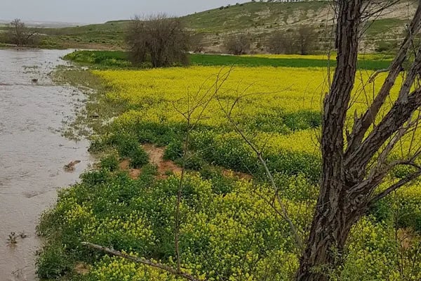 Nahırtepe Mahallesi Muhtarlığı - Resim 4