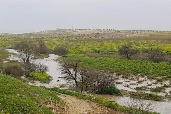 Nahırtepe Mahallesi Muhtarlığı - Resim 3