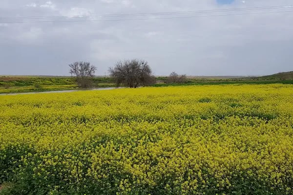 Nahırtepe Mahallesi Muhtarlığı - Resim 14