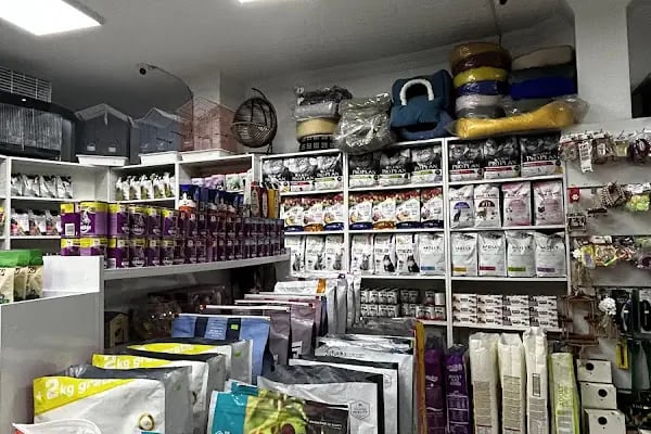 MOBA PETSHOP AKVARYUM - Resim 3