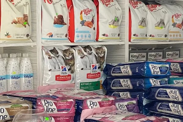 MOBA PETSHOP AKVARYUM - Resim 4