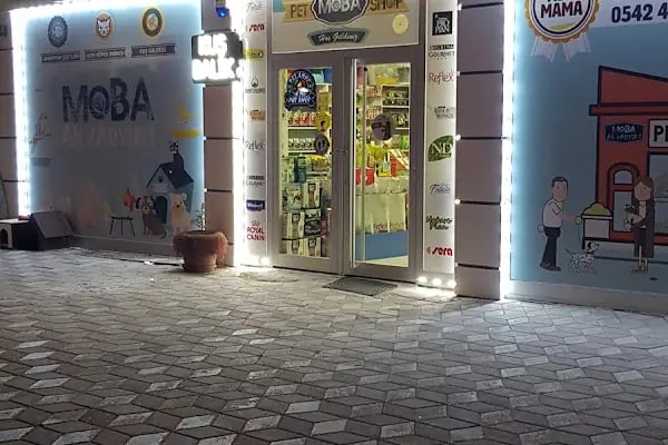 MOBA PETSHOP AKVARYUM - Resim 2