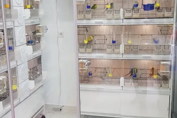 MOBA PETSHOP AKVARYUM - Resim 17
