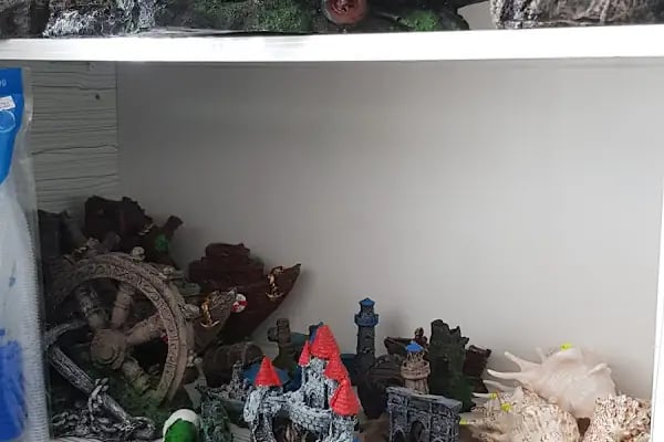MOBA PETSHOP AKVARYUM - Resim 16