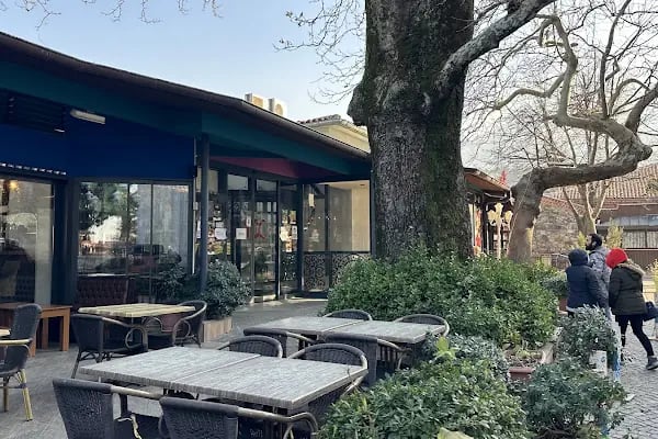 Yüce Hünkar Düğün-Kına-Toplantı Salonları - Resim 3